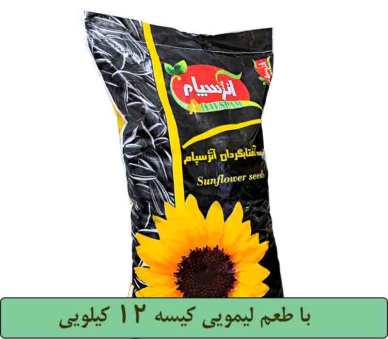کیسه 12 کیلوگرمی
